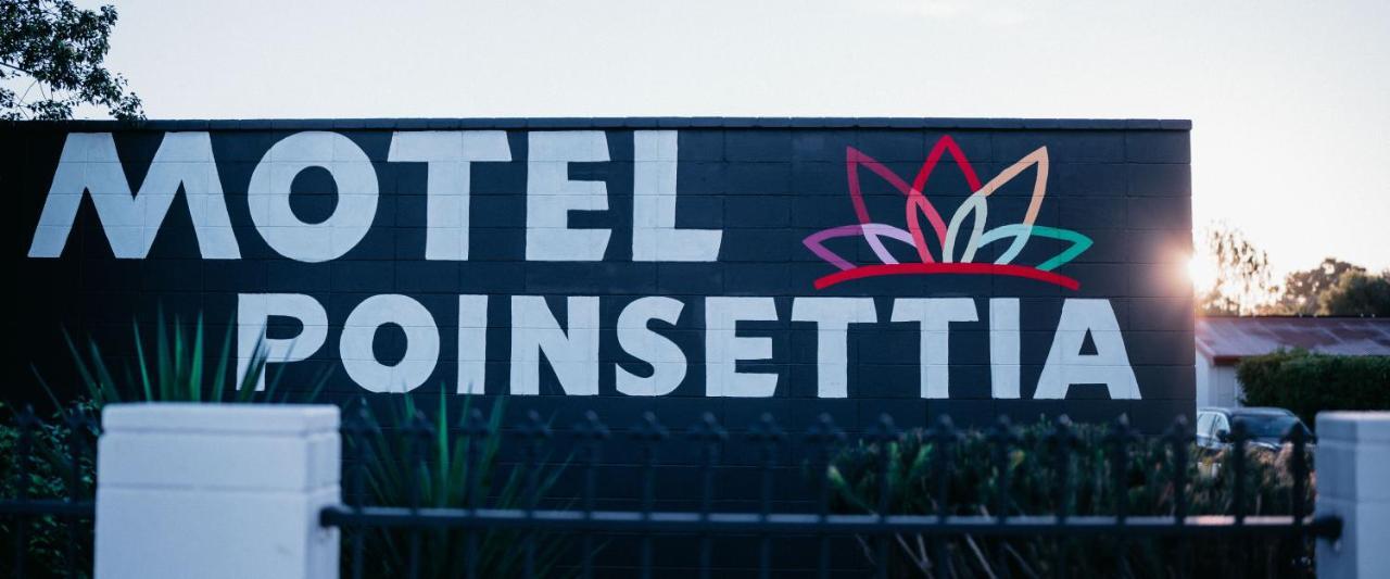 Poinsettia 3* Port Augusta