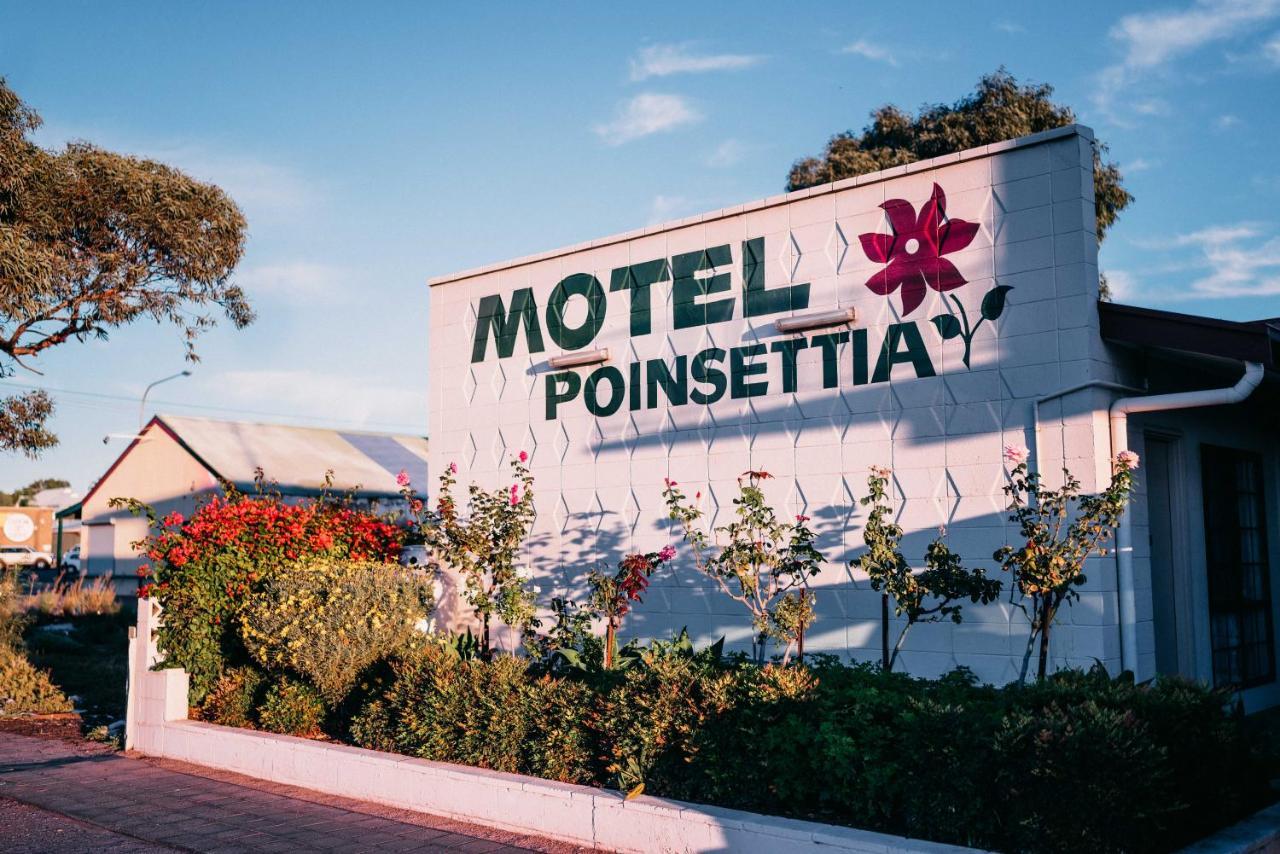 Poinsettia 3*